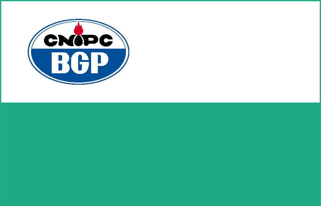 BGP-FLAG